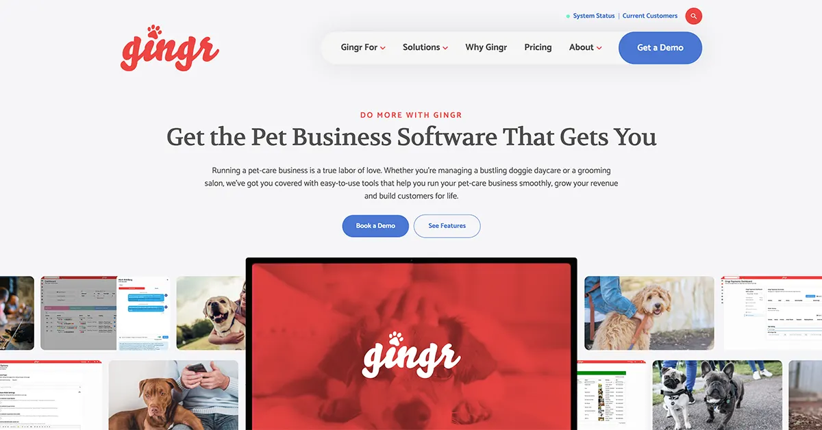 Gingr software screenshot